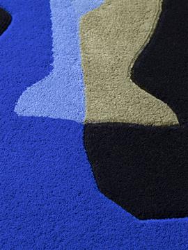 Elephas Maximus EM01